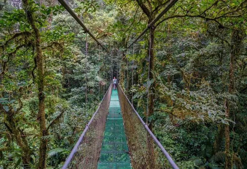 ユースホステル Heliconias Rainforest Lodge