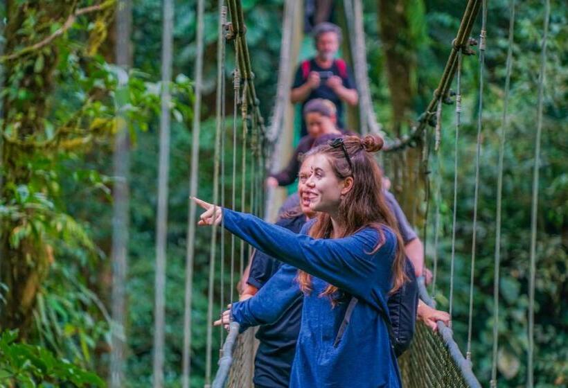 הוסטל Heliconias Rainforest Lodge