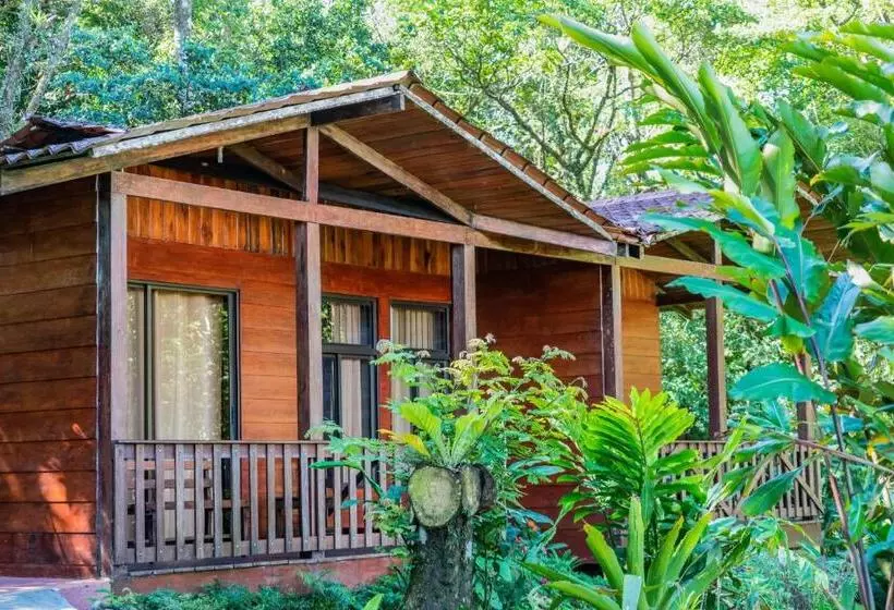 ユースホステル Heliconias Rainforest Lodge