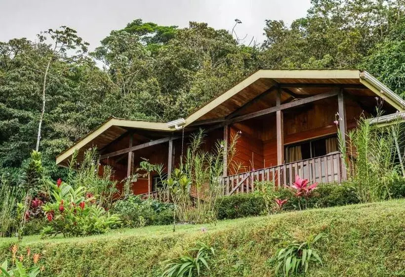 ユースホステル Heliconias Rainforest Lodge