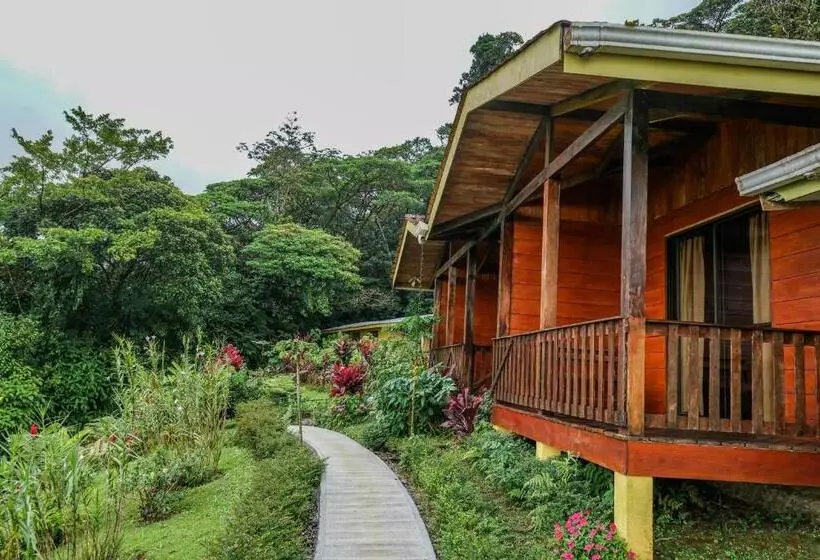 ユースホステル Heliconias Rainforest Lodge