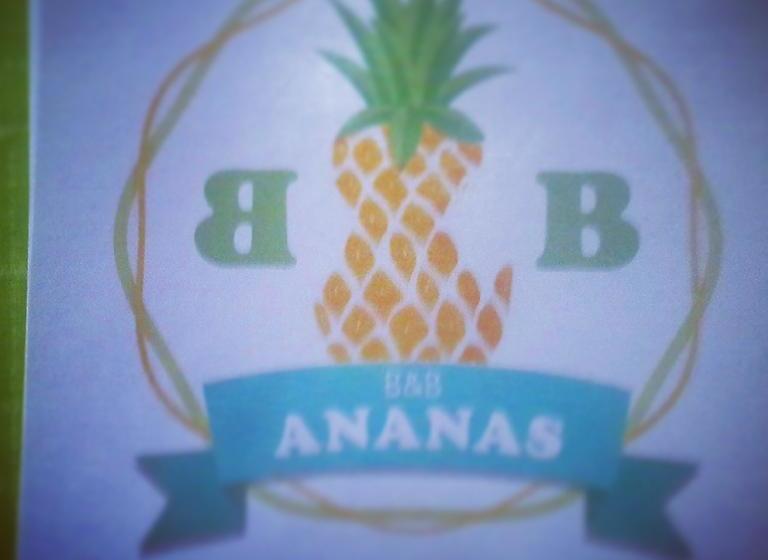 Ananas B&b