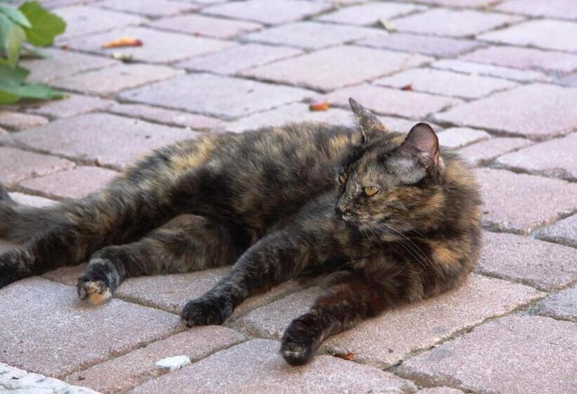 B&b   Relais De Charme La Caminella