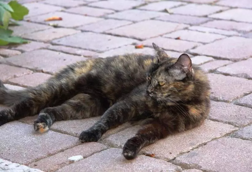 B&b   Relais De Charme La Caminella