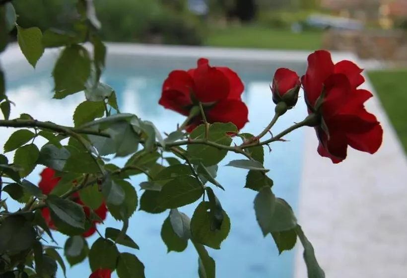 B&b   Relais De Charme La Caminella