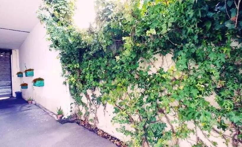 B&b Minicurcu