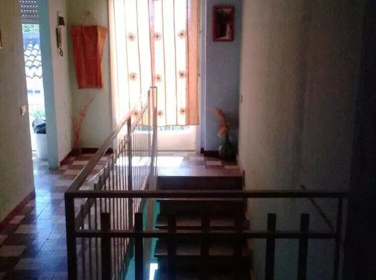 B&b Minicurcu