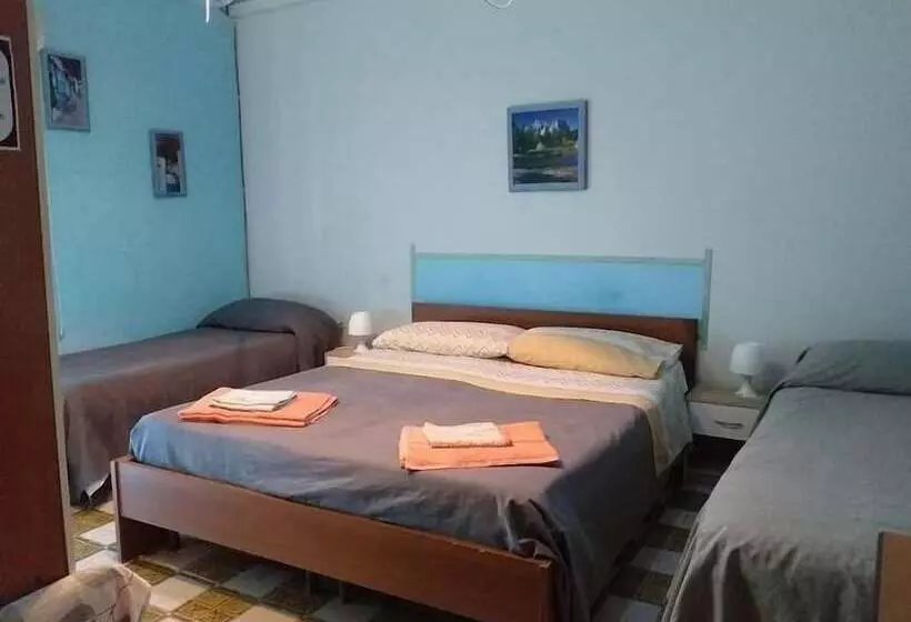 B&b Minicurcu