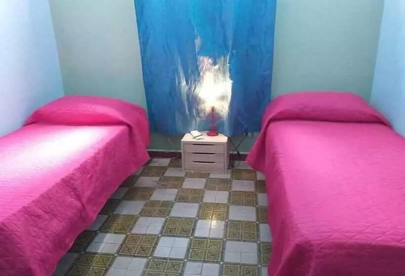 B&b Minicurcu