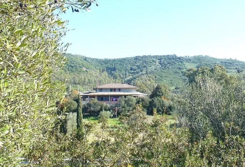 B&b Su Frascu Segau
