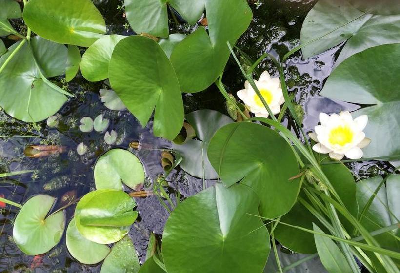 تختخواب و صبحانه Huyze Peppins