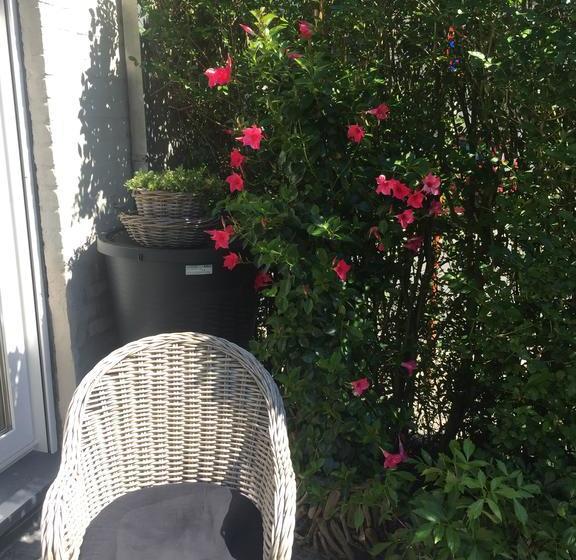 تختخواب و صبحانه Huyze Peppins