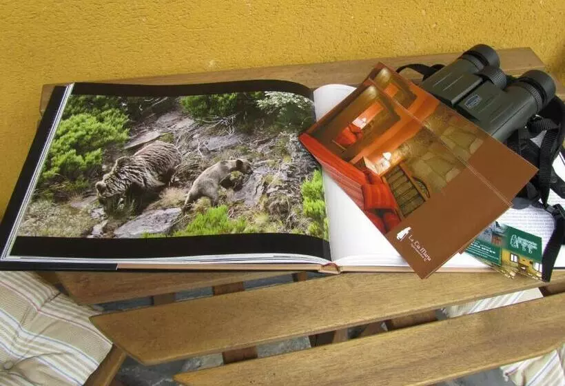 Aamiaismajoitus (B&B) Tía María