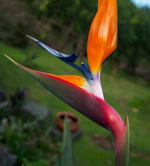 ベッドアンドブレックファースト Vila Belgica