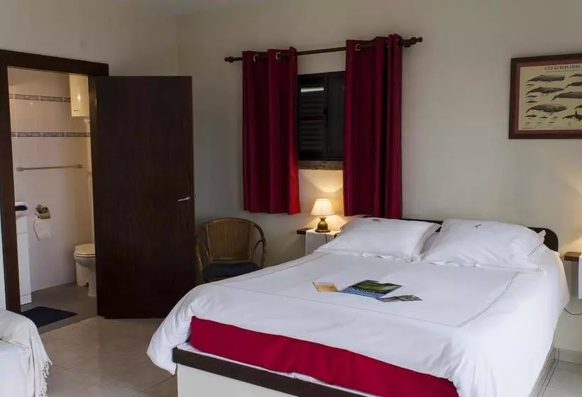 تختخواب و صبحانه Vila Belgica