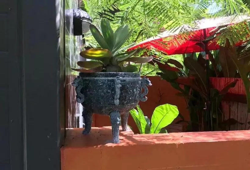 Driftwood Villa S   Scotts Head