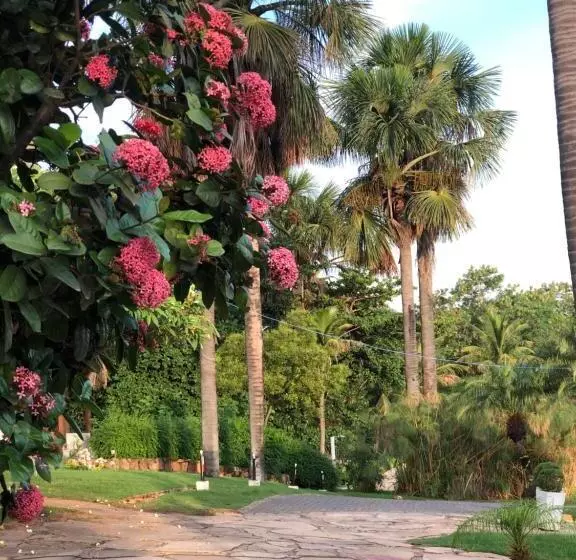 ホテル Pousada Das Palmeiras