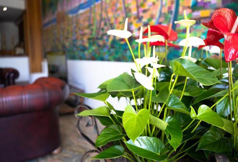 Отель Residence Playa