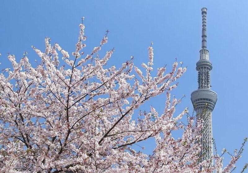 בית מלון כפרי Sakura Sky