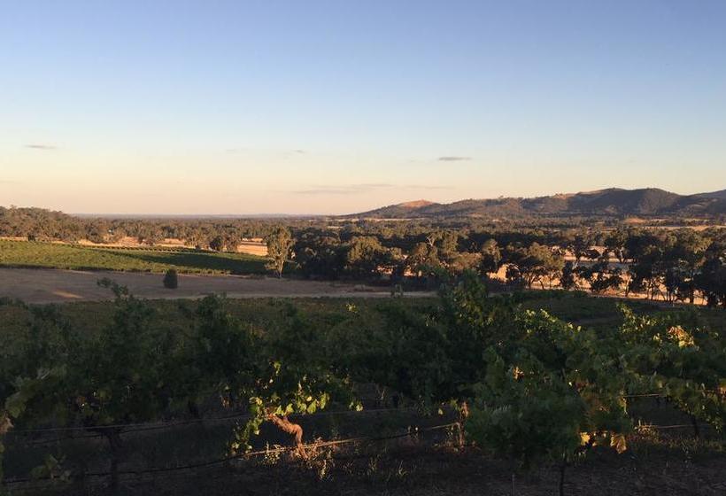 酒店 Warrenmang Vineyard Resort