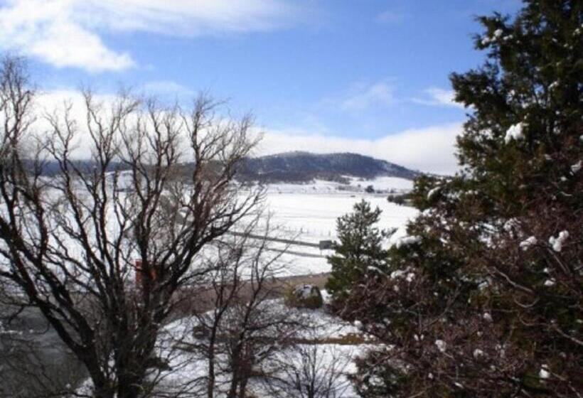 모텔 Southern Cross Motor Inn