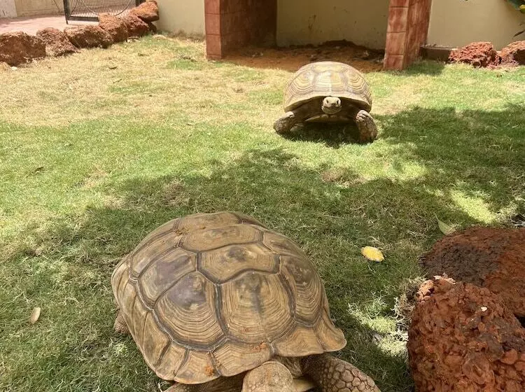 پانسیون Chez Lilie Maison D Hôtes à Saly