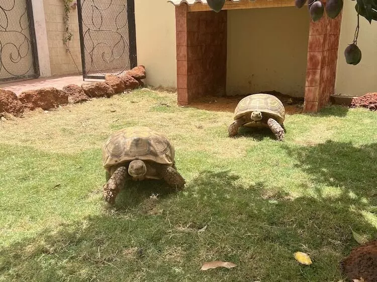 پانسیون Chez Lilie Maison D Hôtes à Saly