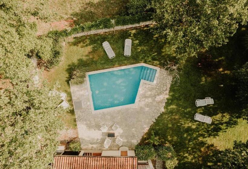 酒店 Bed And Breakfast Kolo Adults Only