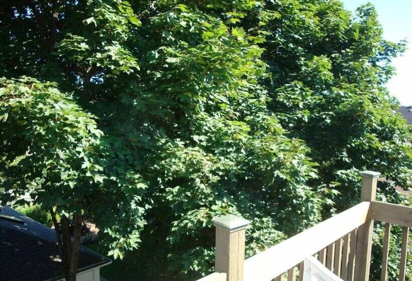 ホテル Downtown Bed And Breakfast