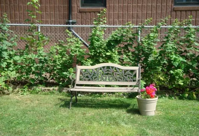 هتل Downtown Bed And Breakfast