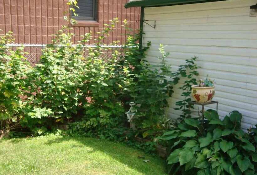 ホテル Downtown Bed And Breakfast