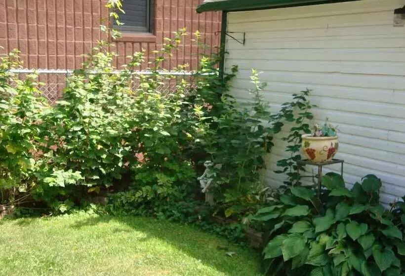 هتل Downtown Bed And Breakfast