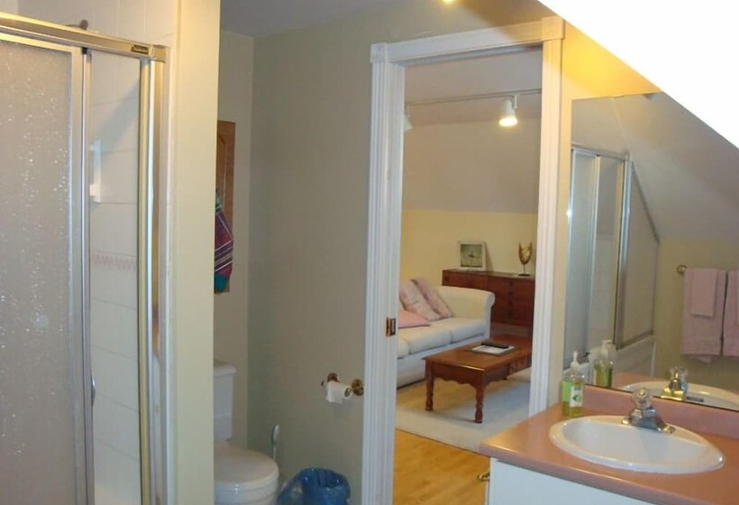 ホテル Downtown Bed And Breakfast