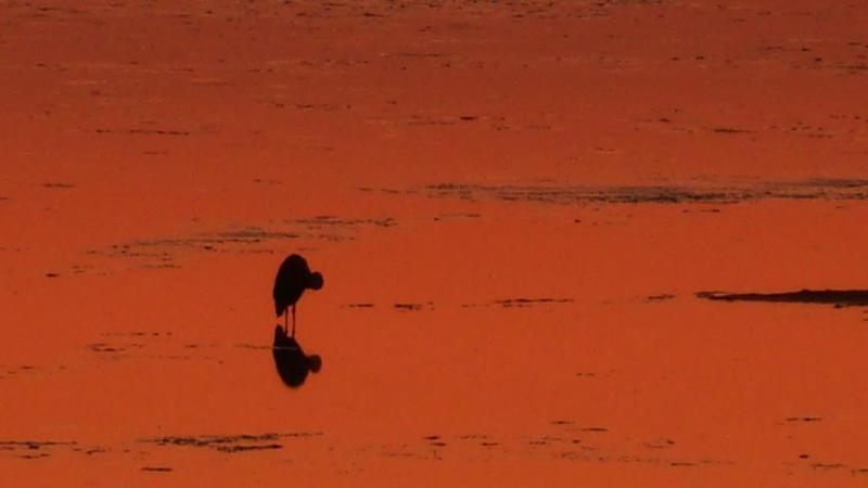 Hotel Inn At St. Peters