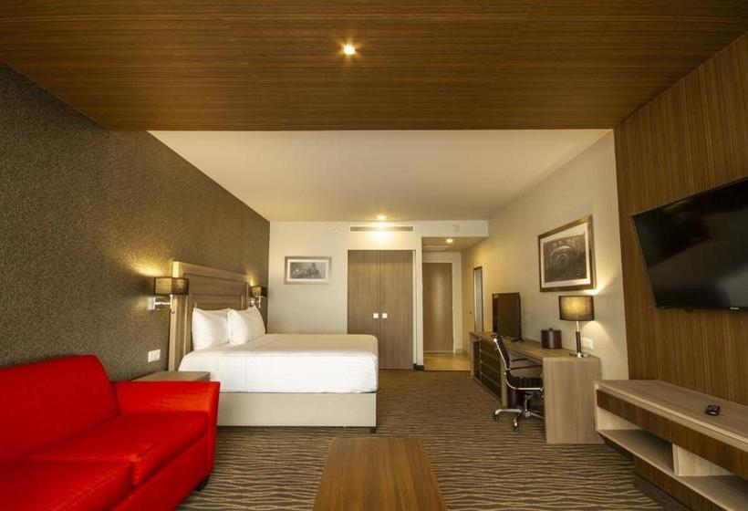 هتل Hilton Garden Inn Leon