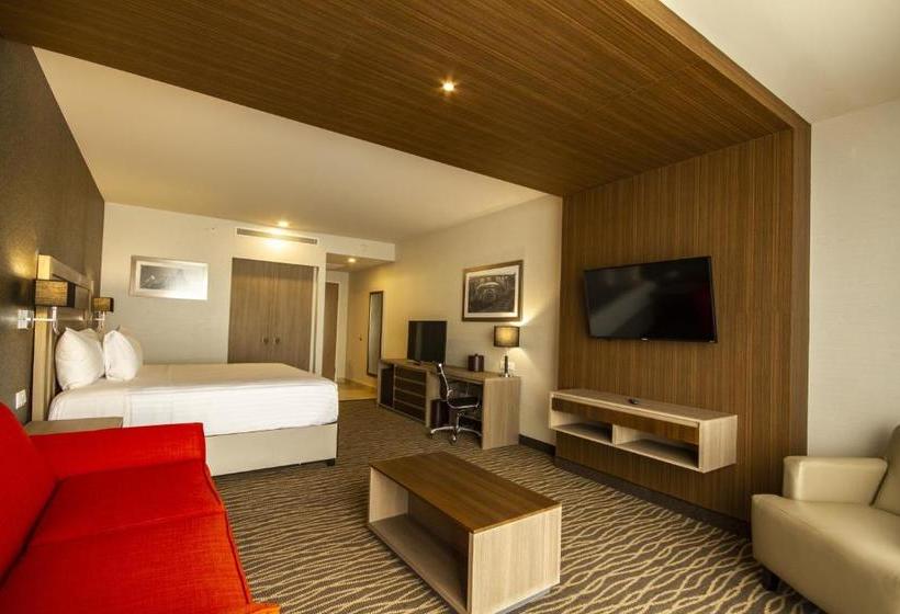 هتل Hilton Garden Inn Leon