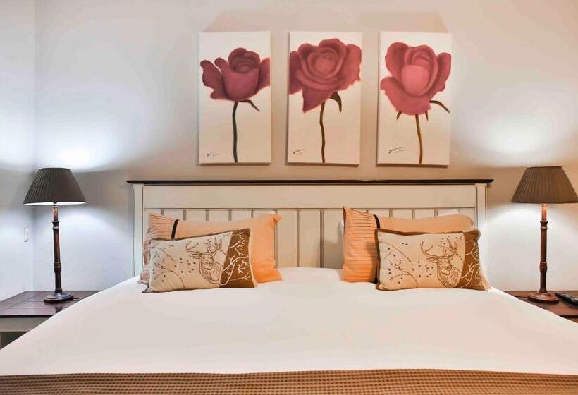 Hotel Accommodation At Vans Self Catering