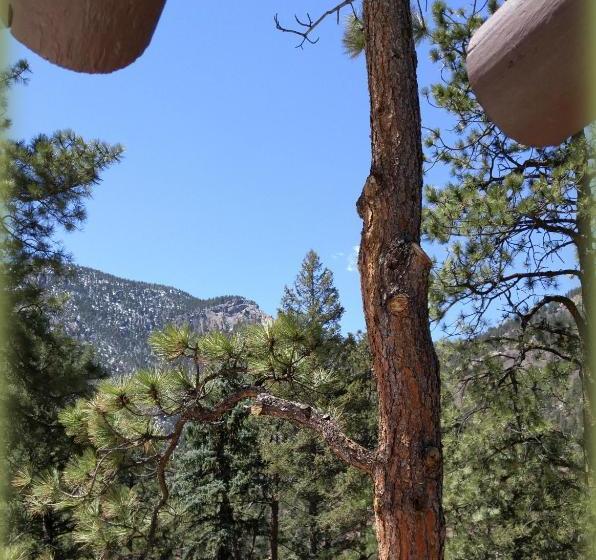 ホテル Adobe Inn At Cascade