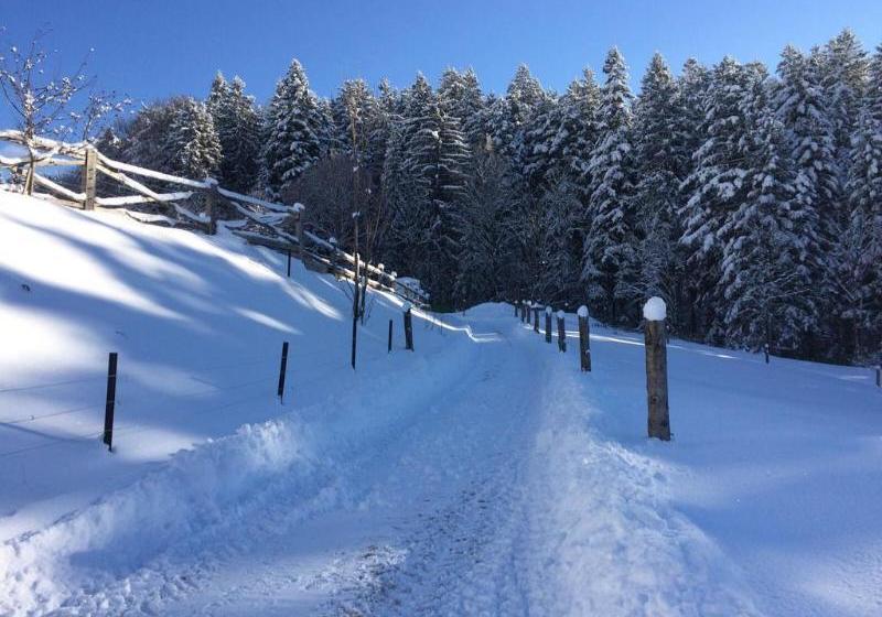 Fotos del hotel Bauernhof Haflingertränke:  6