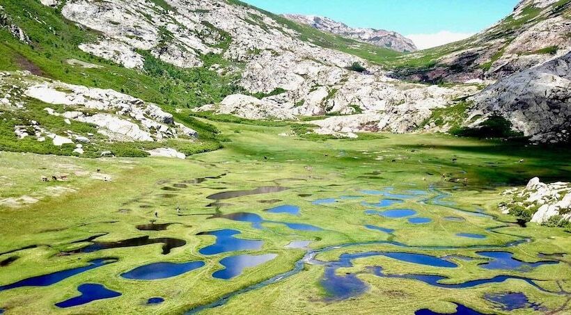 هتل Les Pavillons Du Golfe