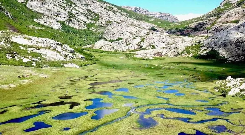 Hotelli Les Pavillons Du Golfe
