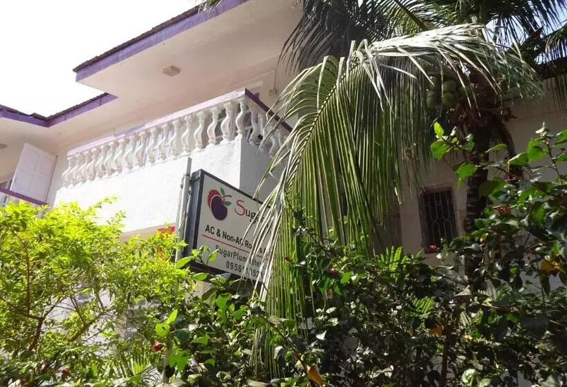 هتل Sugarplum Macedo Palms