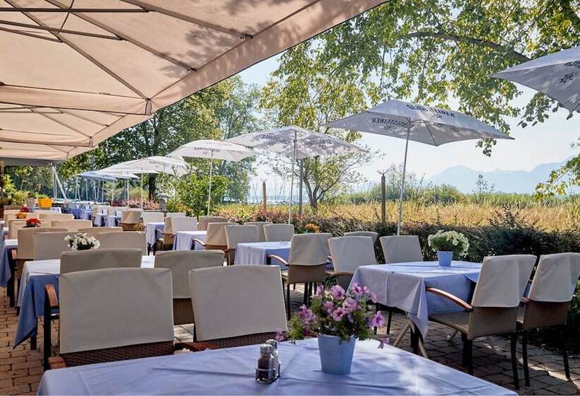 酒店 Zum Fischer Am See S