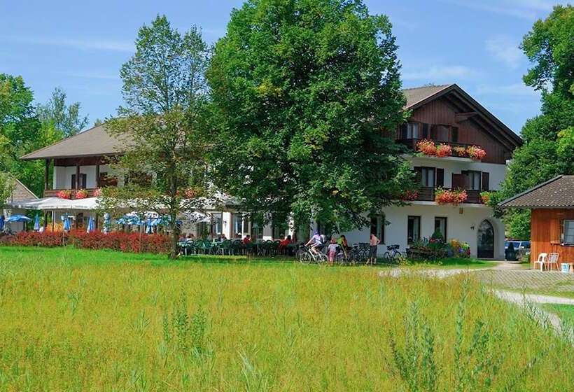 酒店 Zum Fischer Am See S