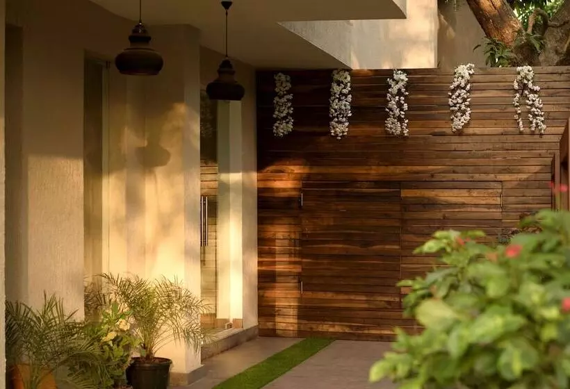 Bluo Amani Vagator   Boutique Hotel Goa