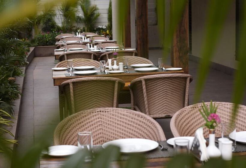 Bluo Amani Vagator   Boutique Hotel Goa