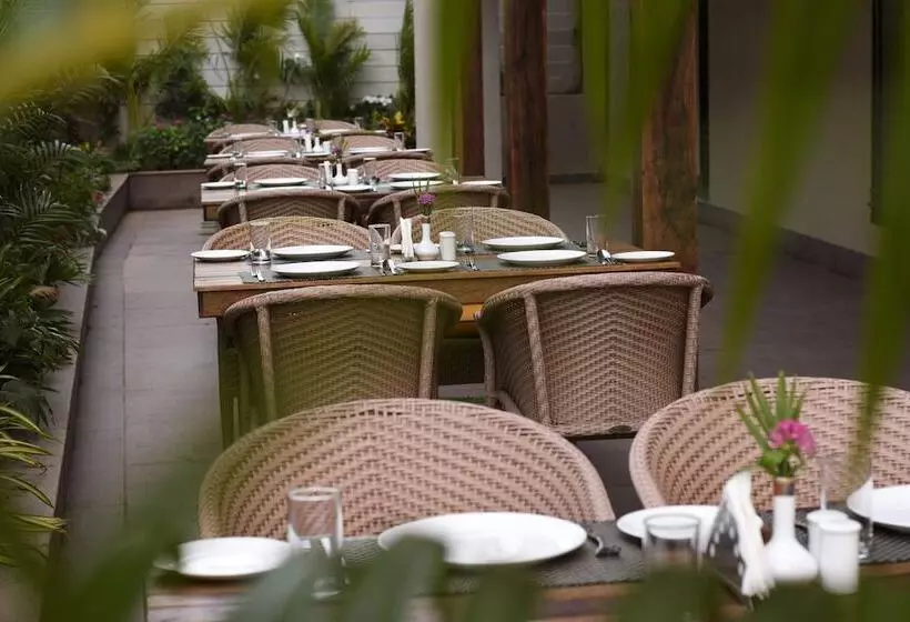 Bluo Amani Vagator   Boutique Hotel Goa