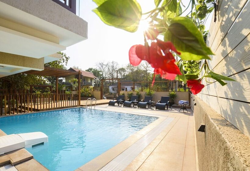 Bluo Amani Vagator   Boutique Hotel Goa