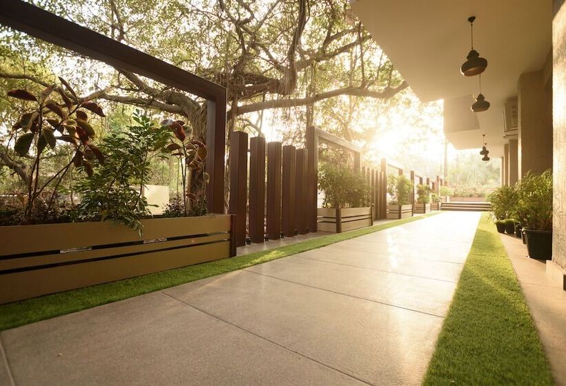 Bluo Amani Vagator   Boutique Hotel Goa