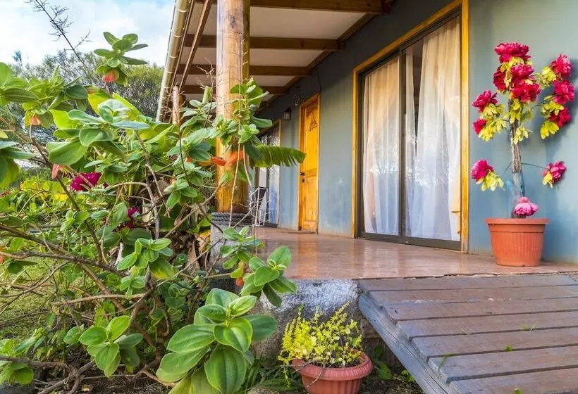 ホテル Cabanas Henua Iti